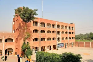 degree
