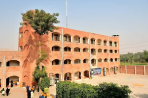 most-popular-bachelor-programs-among-students